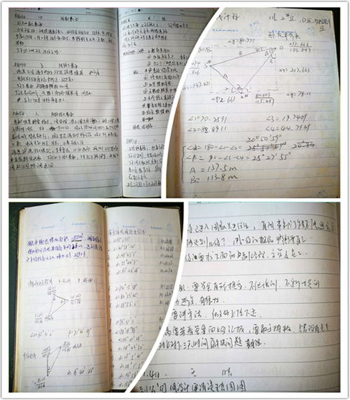 卓越校友回歸母校，悉心指導助力成長——湖南環境生物職業技術學院校友分享會側記